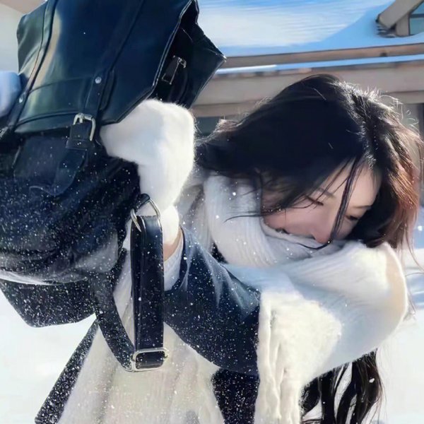 雁南飞